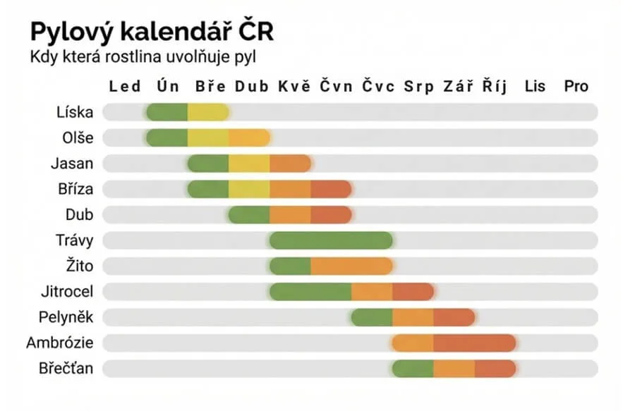 Pylový kalendář ČR  přehled období produkce pylu alergenních rostlin od ledna do&nbsp;října 